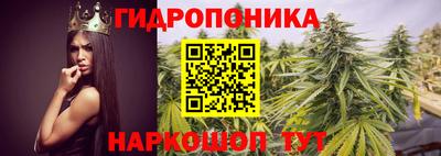 Альфа ПВП Дубна